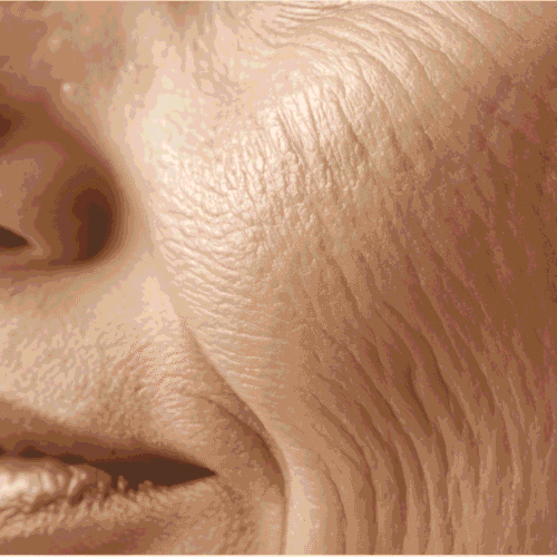 Suplementos naturales para arrugas: cómo nutrir la piel desde dentro.