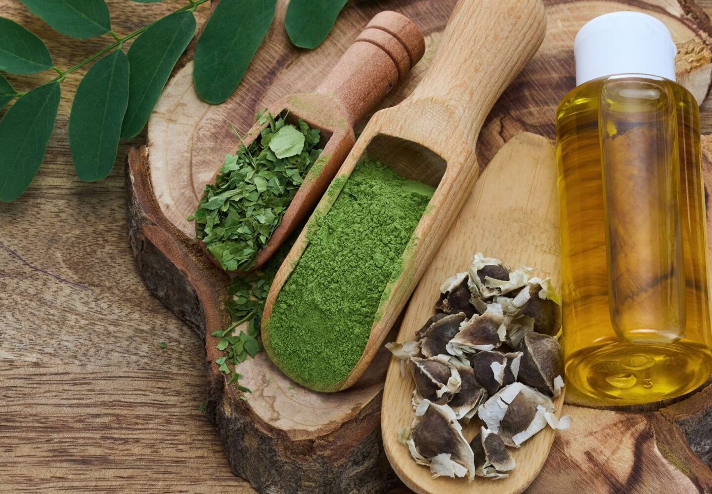 moringa