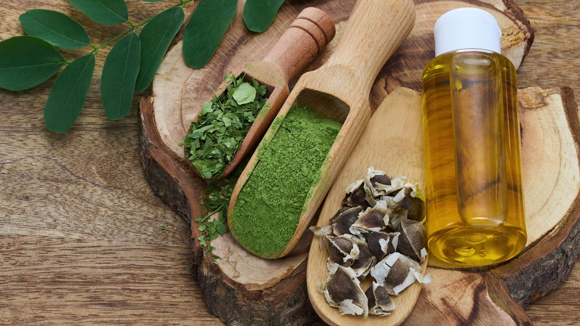 moringa